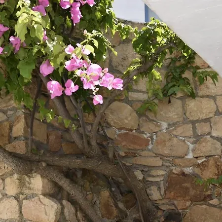 Patmos Cute Seafront Escape For 2 * Grikos Bay (Patmos)